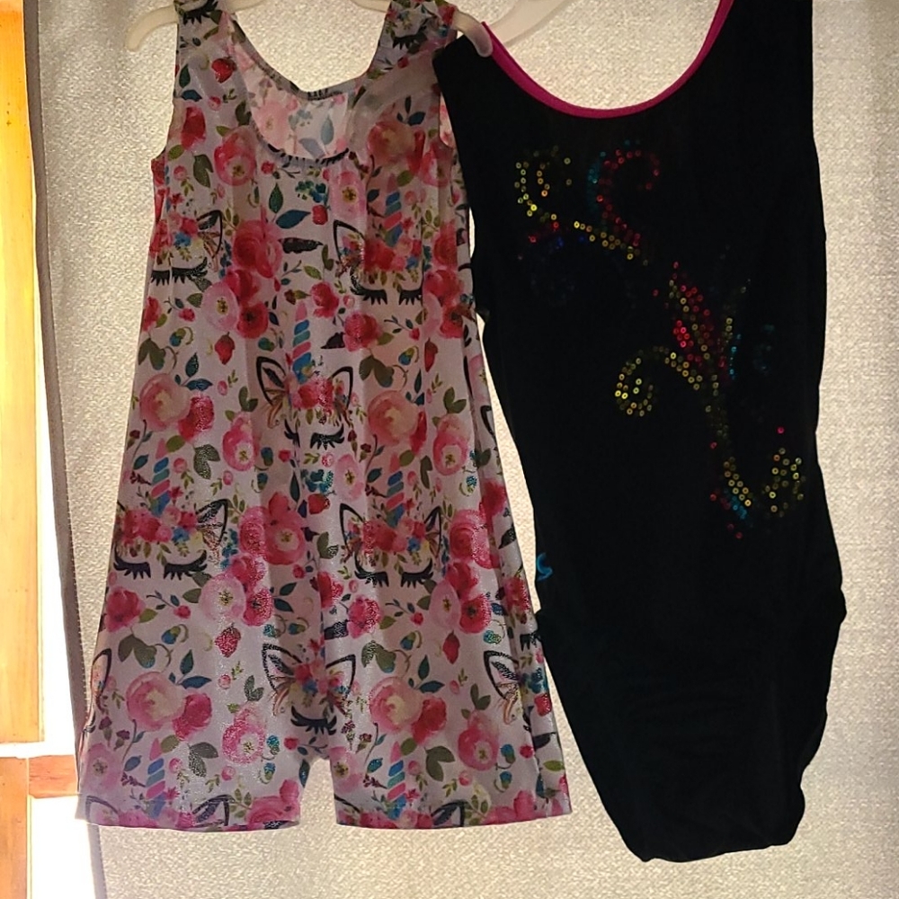 Lot of 2 leotards